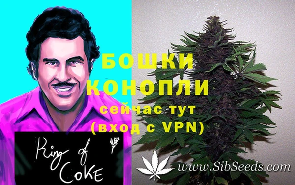 прущие крисы Иннополис