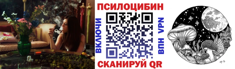 Псилоцибиновые грибы MAGIC MUSHROOMS  Купить  Пудож 